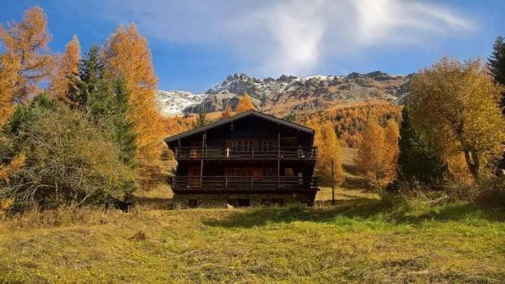 Апартаменты Chalet Singlinaz Циналь Экстерьер фото